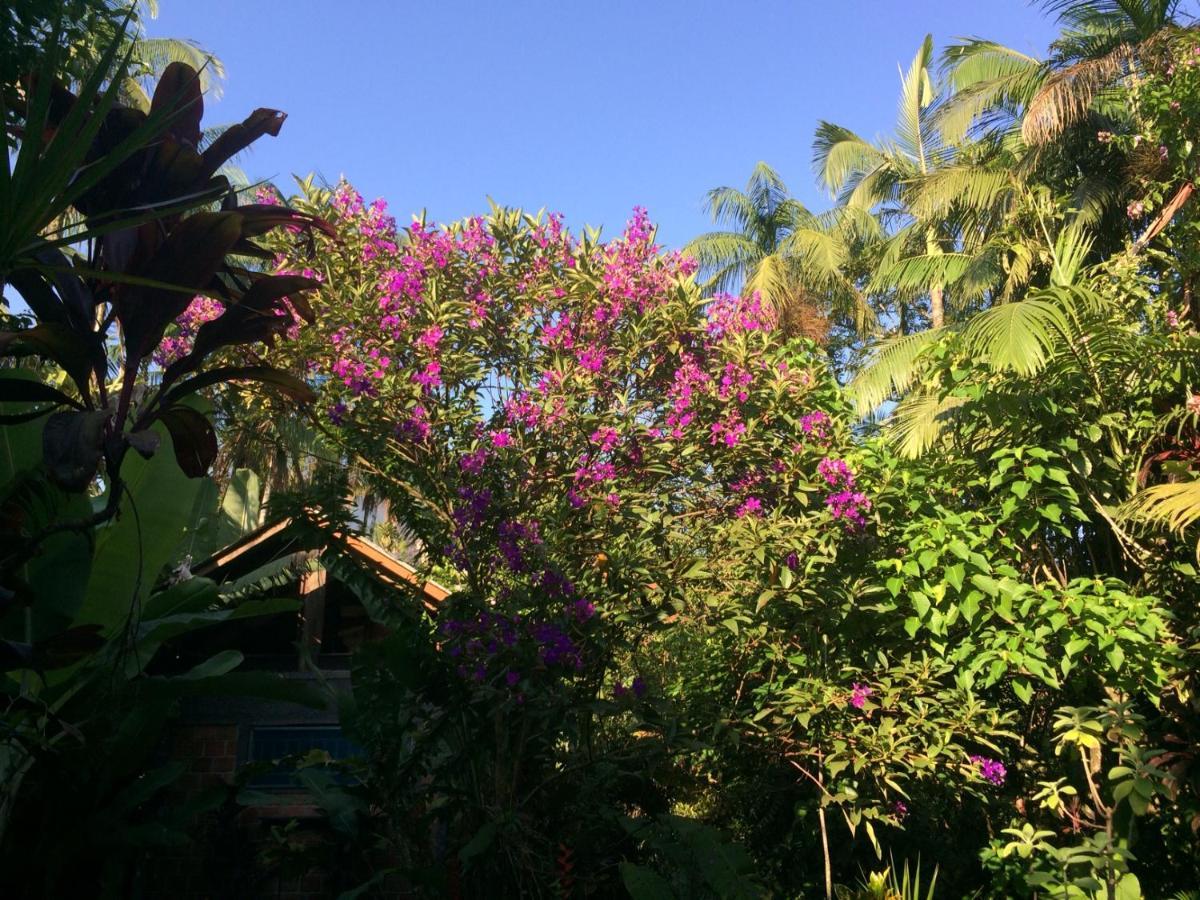 Pousada Do Oasis มอร์เฮชิส ภายนอก รูปภาพ