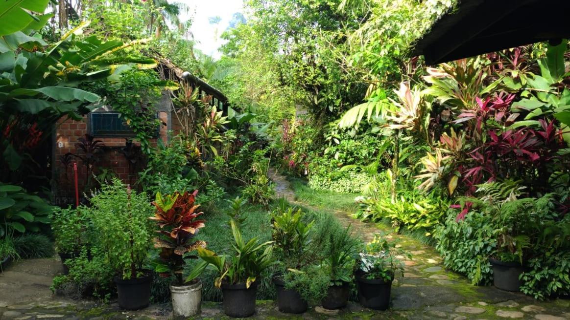 Pousada Do Oasis มอร์เฮชิส ภายนอก รูปภาพ